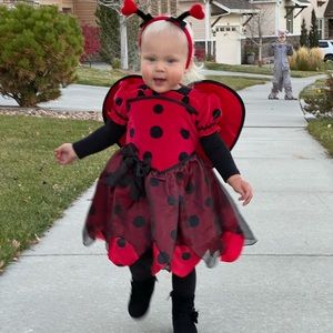 Toddler Girls LADYBUG 🐞 Costume 2T w/ shoes